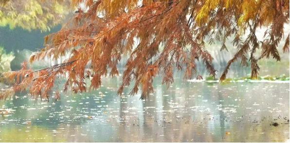 1672813697468702.png QQ圖片20230103140714.png