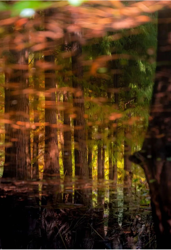 1672813731109576.png QQ圖片20230103140802.png