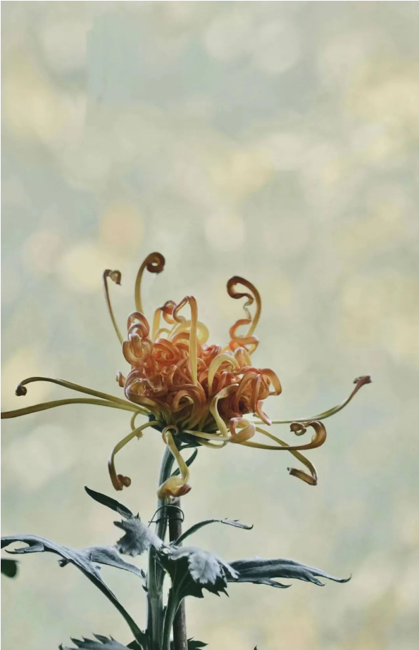 1672813824867348.png QQ圖片20230103141136.png