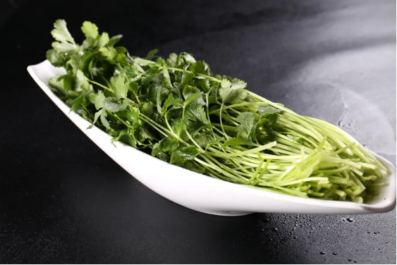 1672898248110290.png QQ圖片20230104161053.png