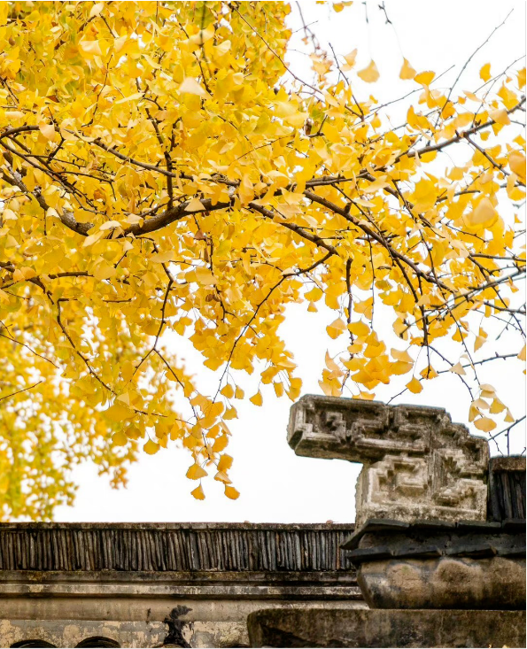 1697095619608641.png QQ圖片20231012144819.png