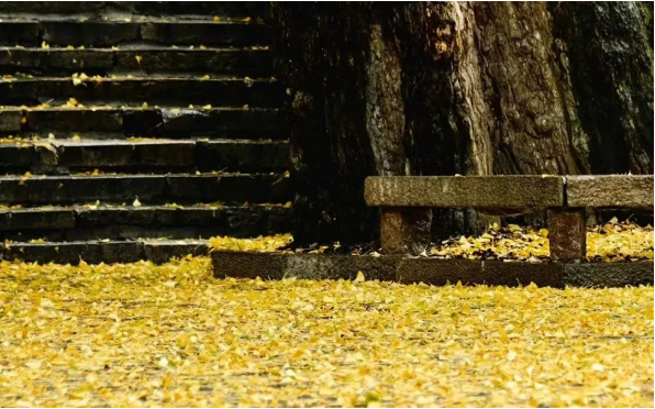 1697095632702192.png QQ圖片20231012144847.png