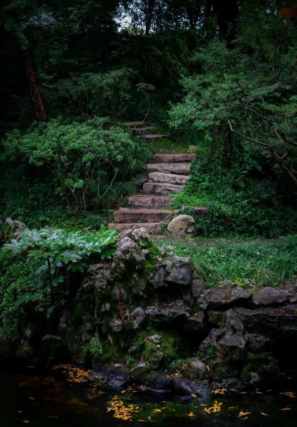 1697095736485914.png QQ圖片20231012145030.png