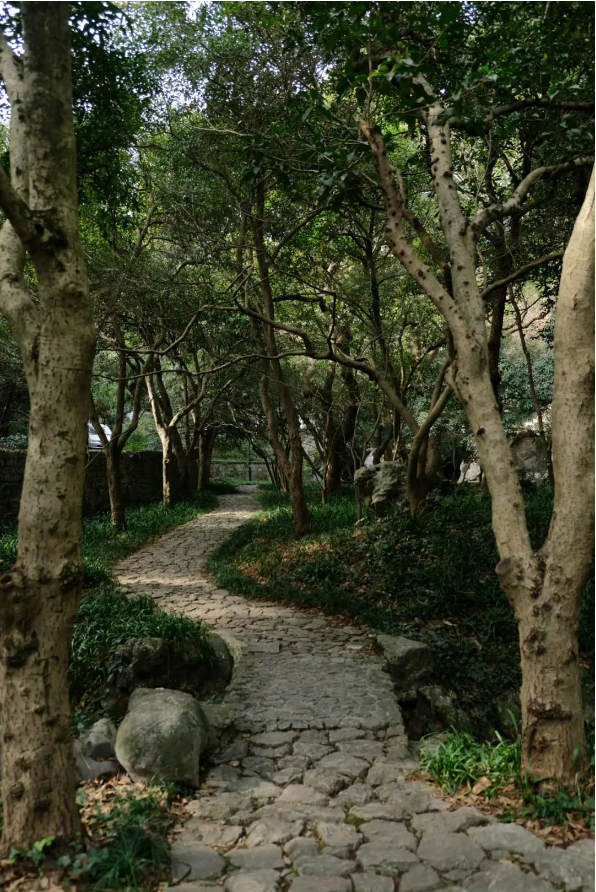 1697095748658386.png QQ圖片20231012145054.png