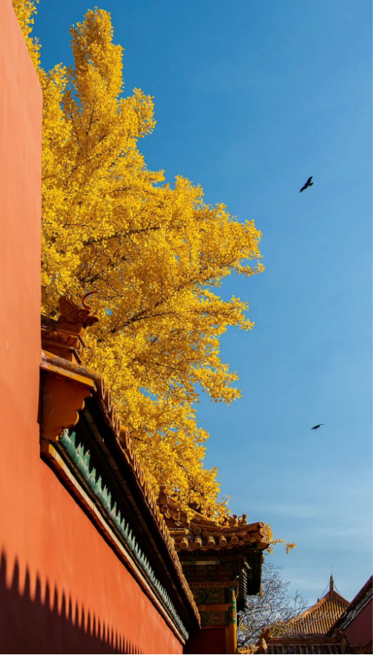 1697095794108732.png QQ圖片20231012145221.png