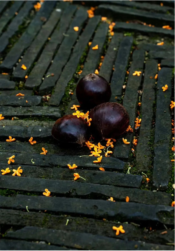 1697095842810976.png QQ圖片20231012145322.png