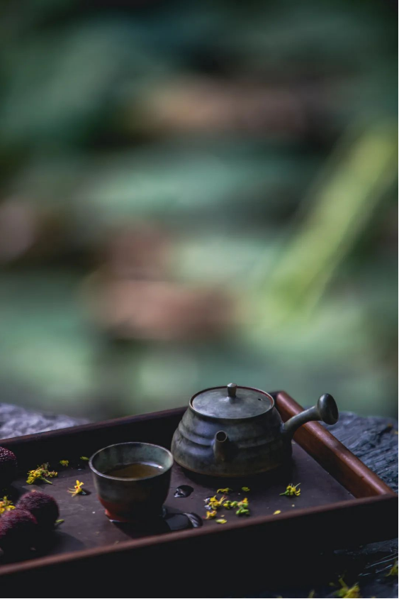 1699254012466765.png QQ圖片20231106144441.png