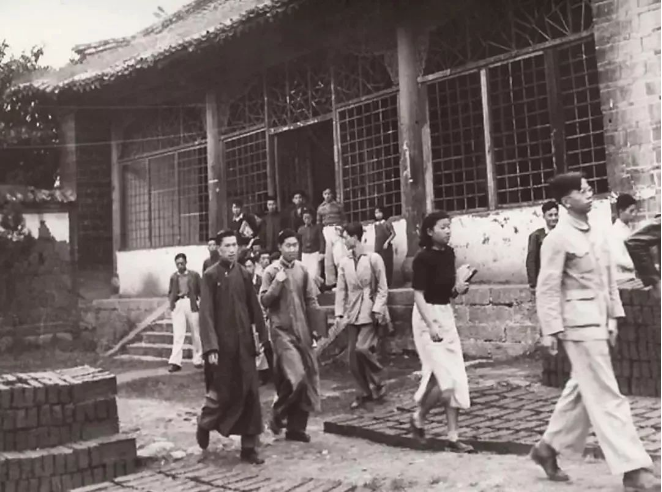 1699254200109477.png QQ圖片20231106145126.png