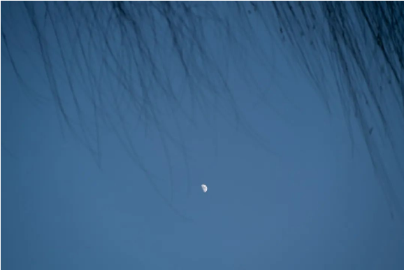 1702364805221527.png QQ圖片20231212145036.png