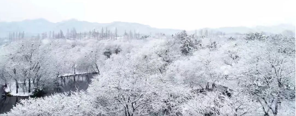 1702364869120854.png QQ圖片20231212145118.png