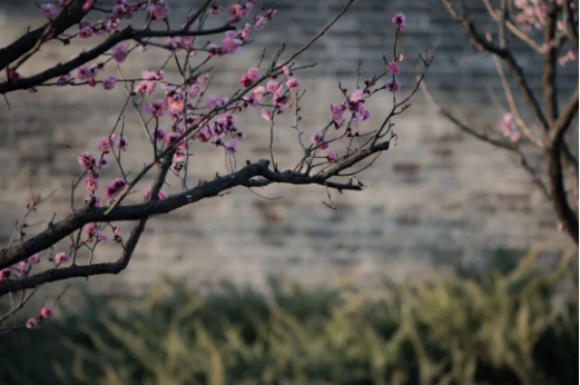 1705386367629899.png QQ圖片20240116141632.png