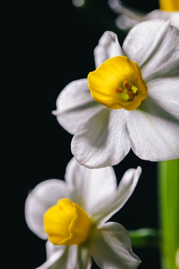 1705474318877461.png QQ圖片20240117144128.png