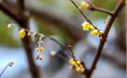 1705474327616774.png QQ圖片20240117144142.png