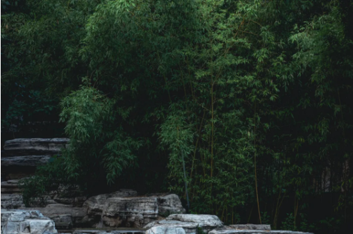 1714117854105931.png QQ圖片20240426154138.png