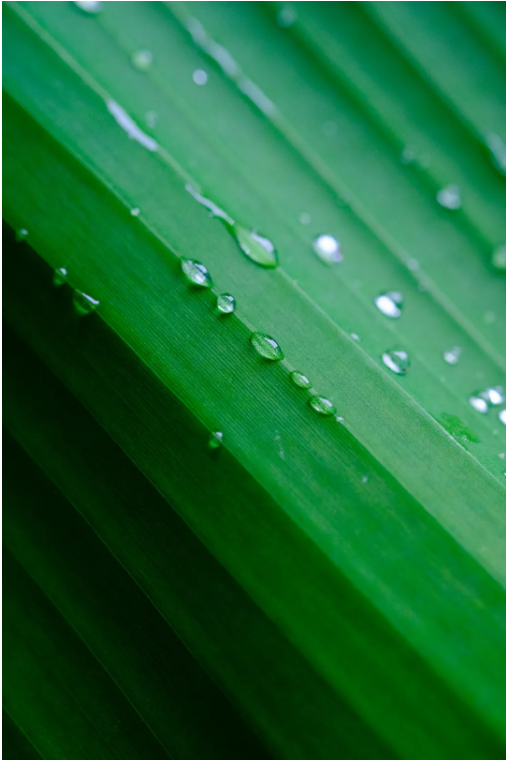 1714117912118290.png QQ圖片20240426154437.png