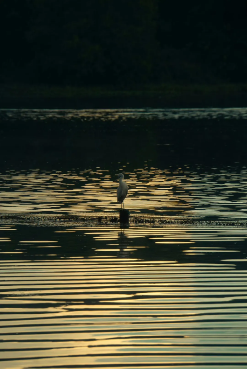 1714117960414180.png QQ圖片20240426154537.png