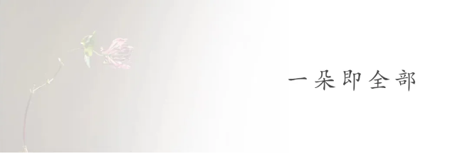 1715752920747806.png QQ圖片20240515134537.png