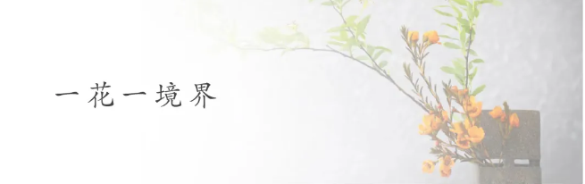 1715752959124878.png QQ圖片20240515134646.png