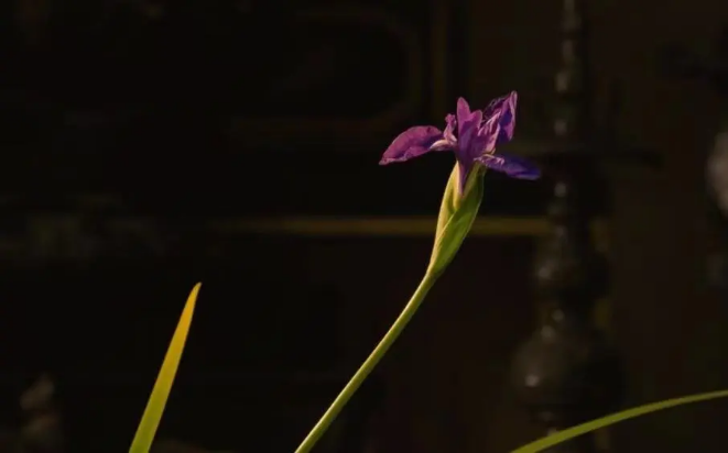 1715752982564921.png QQ圖片20240515134708.png