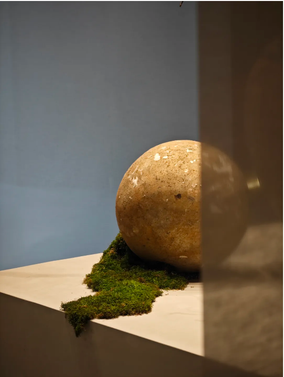 1715752993122304.png QQ圖片20240515134728.png