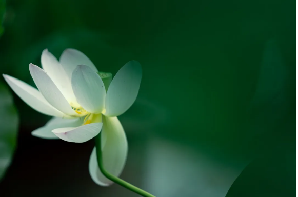 1715753021129517.png QQ圖片20240515134832.png