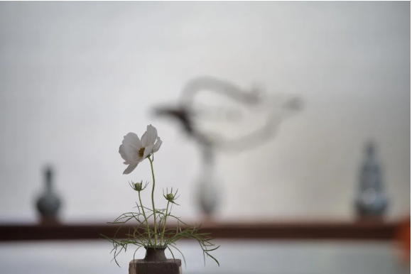 1715753032389695.png QQ圖片20240515134853.png