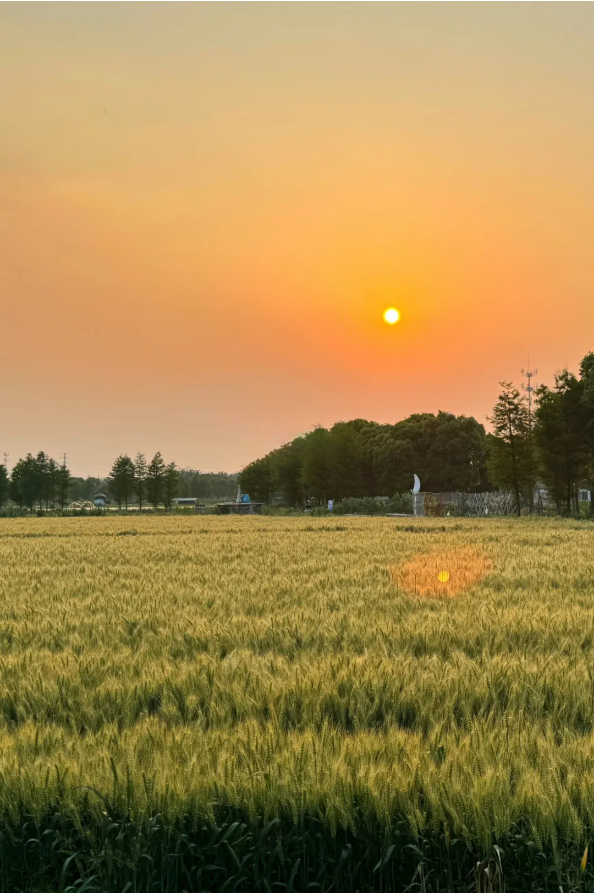 1718865167810417.png QQ圖片20240620141647.png