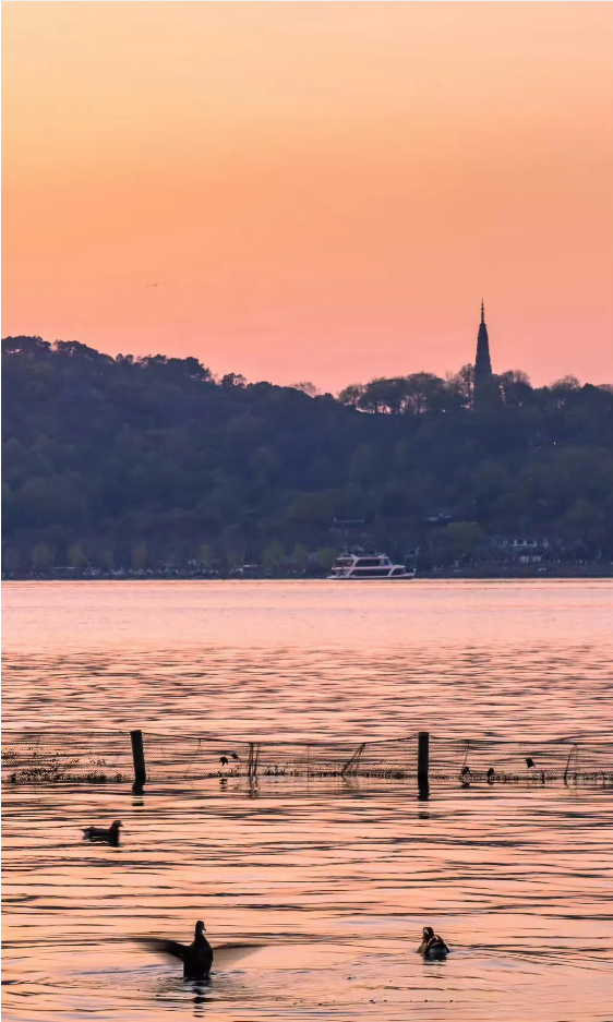 1718865328950270.png QQ圖片20240620141859.png