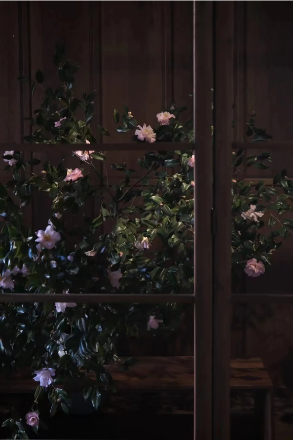 1723792511122253.png QQ圖片20240816150804.png