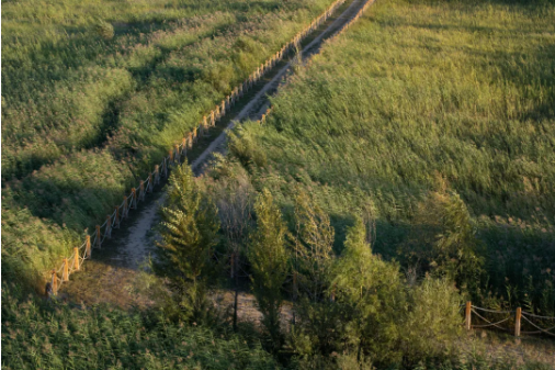 1724052582303761.png QQ圖片20240819141909.png