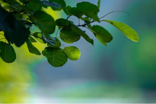 1724052598922988.png QQ圖片20240819141926.png