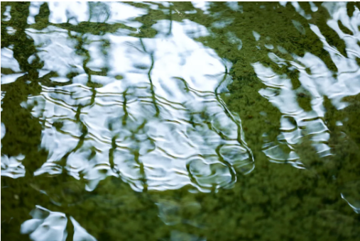 1724052619103478.png QQ圖片20240819142027.png