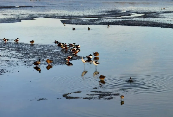 1724052656116818.png QQ圖片20240819150957.png