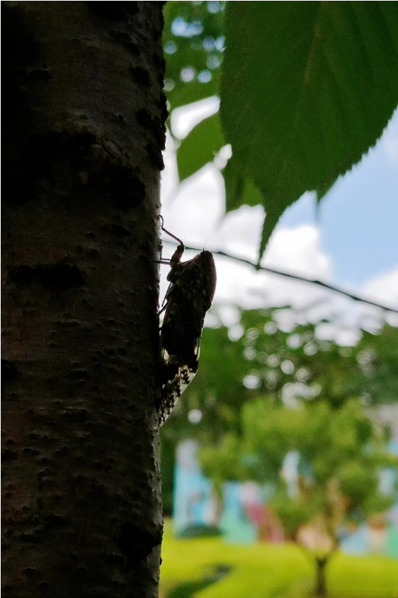 1724142838349676.png QQ圖片20240820162622.png