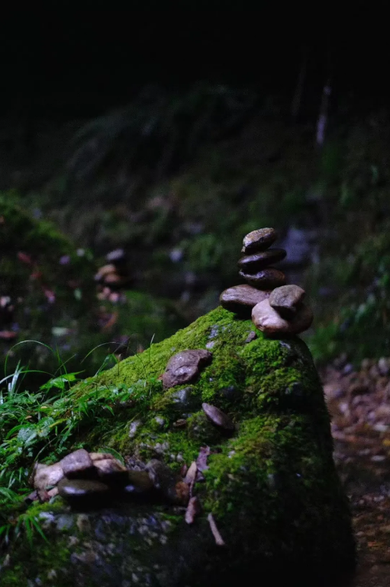 1724142851113930.png QQ圖片20240820162645.png