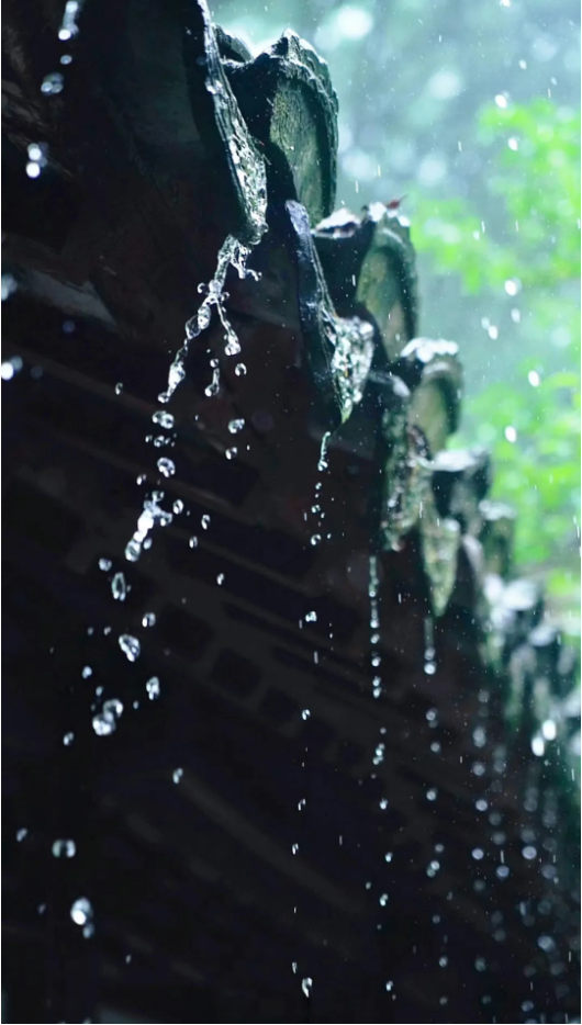 1724142960115213.png QQ圖片20240820162729.png