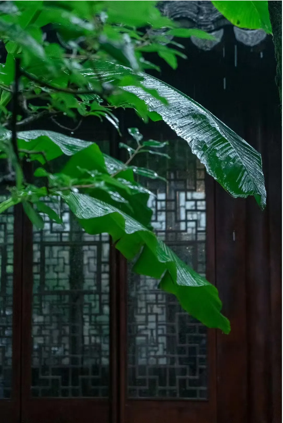 1724142977617075.png QQ圖片20240820162752.png