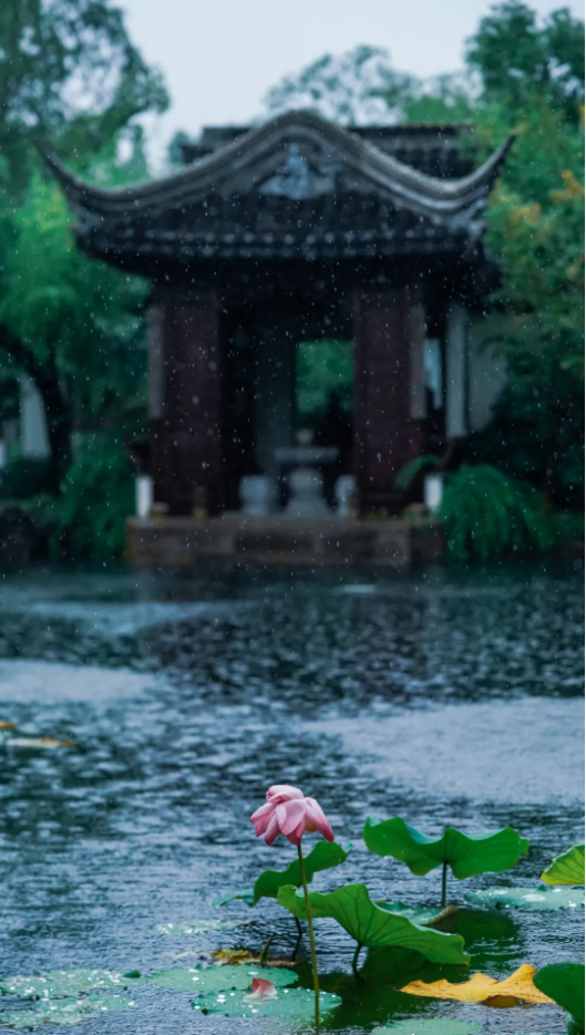 1724143028132339.png QQ圖片20240820162820.png