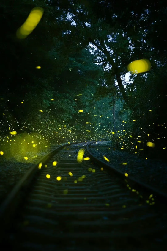 1724143053128260.png QQ圖片20240820162904.png