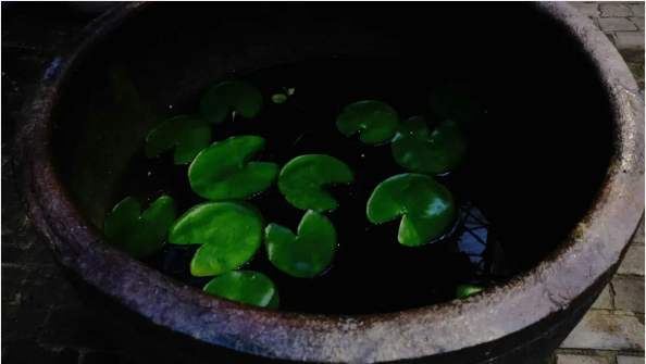 1724219701495726.png QQ圖片20240821134513.png