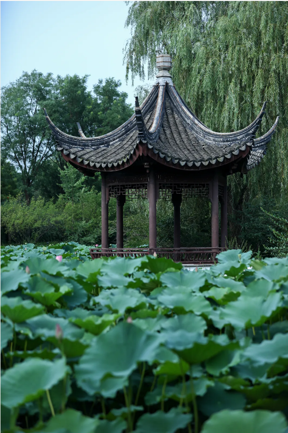 1724219726109743.png QQ圖片20240821134534.png