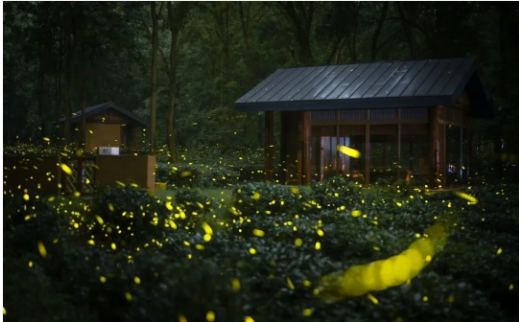 1724219766294466.png QQ圖片20240821134613.png