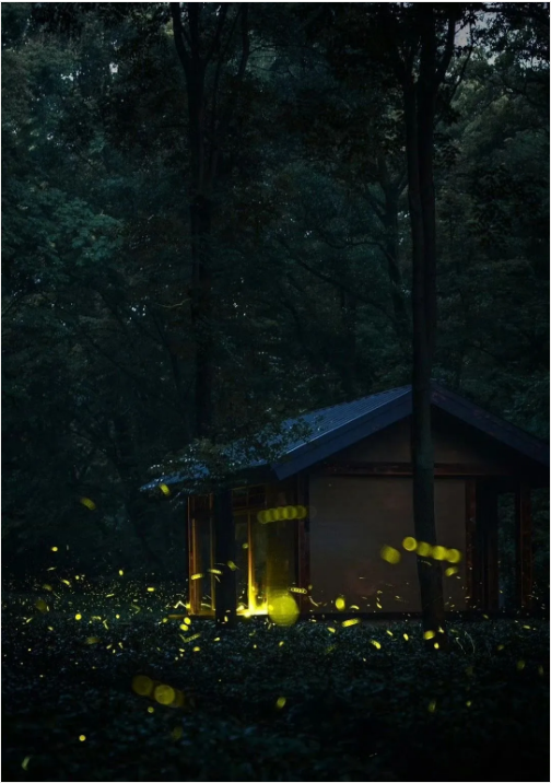 1724219775123286.png QQ圖片20240821134629.png