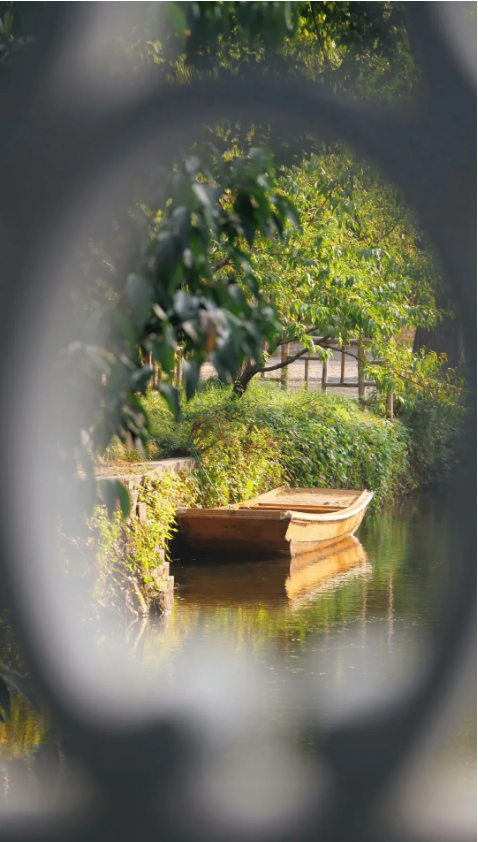 1729578592842992.png 41a189c9-2e0a-4f0a-9527-835afef42aff.png