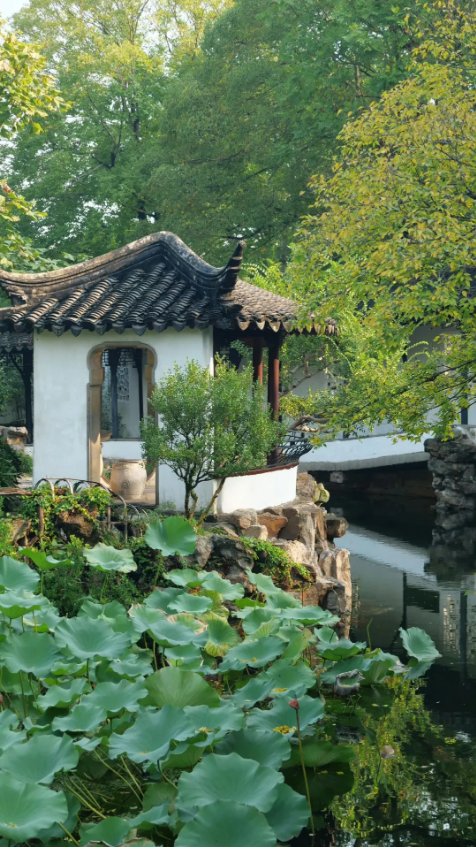 1729578656112769.png 7138efee-397e-4592-b877-7b0ed8d92d23.png