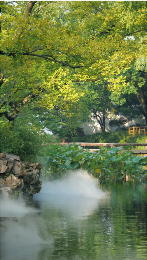 1729578770352172.png 23d79a11-3558-495d-a881-714d7a0509ec.png