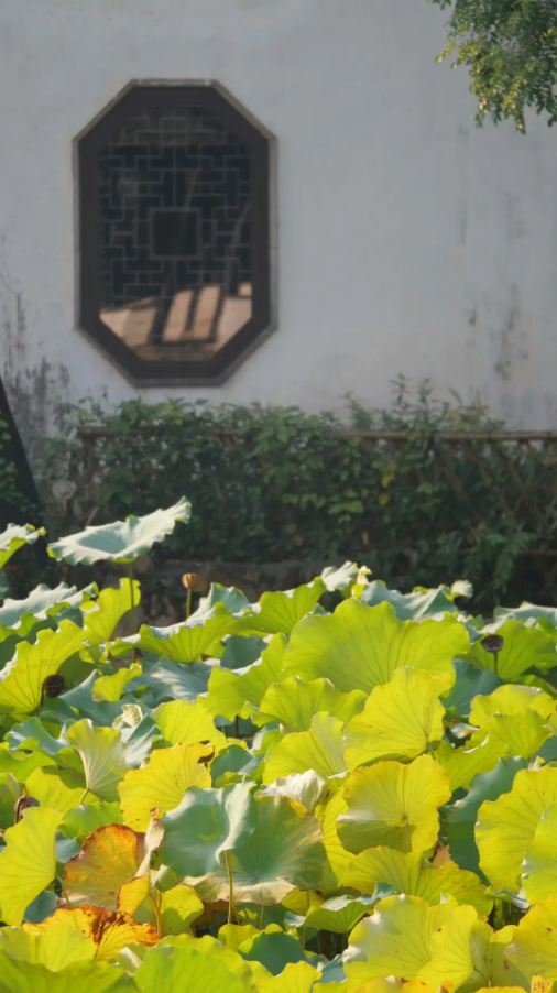 1729578801745138.png 590b1cac-22de-4249-95c8-1cc93f541de5.png