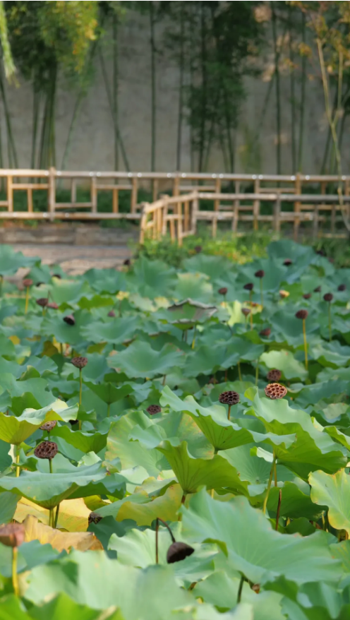 1729578864112355.png 3be188ab-14c0-45a9-a4bb-a07a0897f1ed.png