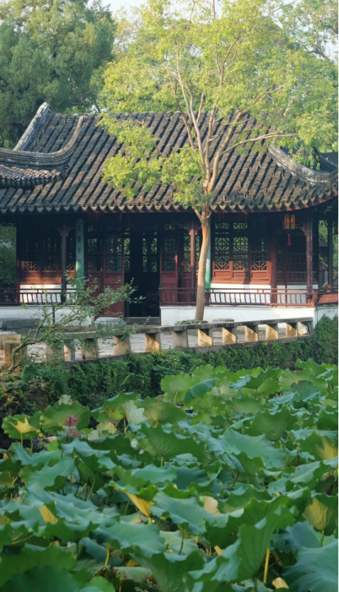 1729578986338487.png 5a538edf-a7a7-483b-8a12-cff92fa1b96f.png