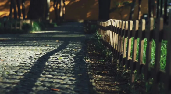 1729663367467454.png 04987ef8-7fea-4faf-a9f4-c4e02a60b951.png